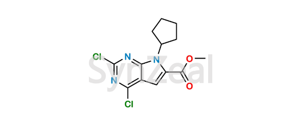 media.product.imagealternatetextformat.details