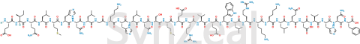 media.product.imagealternatetextformat